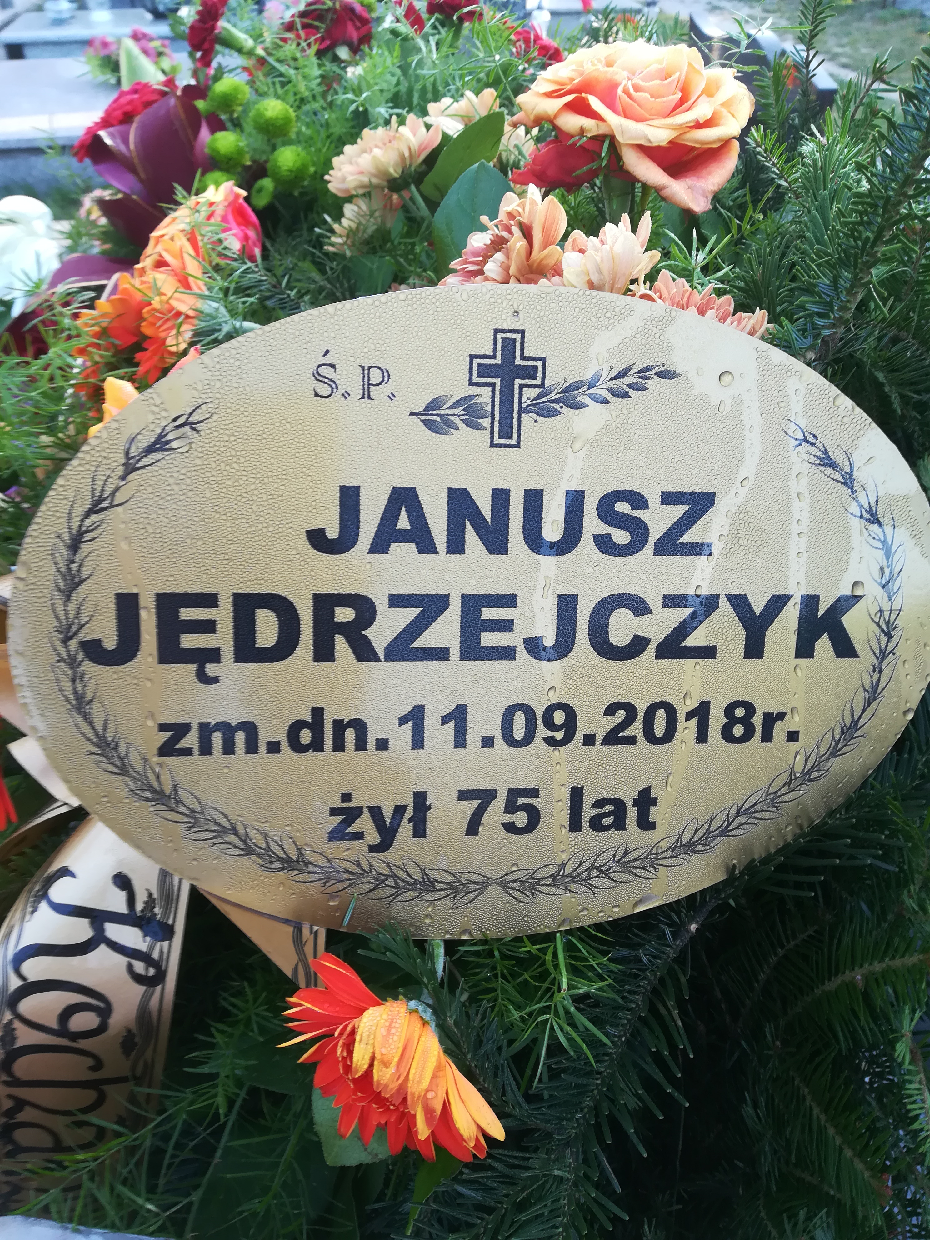 Anna Jędrzejczyk 1947 Skarżysko Kamienna - Grobonet - Wyszukiwarka osób pochowanych