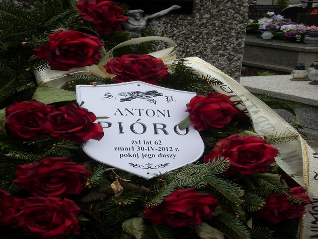 Weronika Pióro Skarżysko Kamienna - Grobonet - Wyszukiwarka osób pochowanych