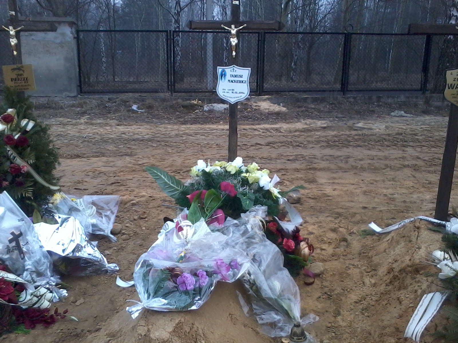 Tadeusz Mackiewicz 1949 Skarżysko Kamienna - Grobonet - Wyszukiwarka osób pochowanych