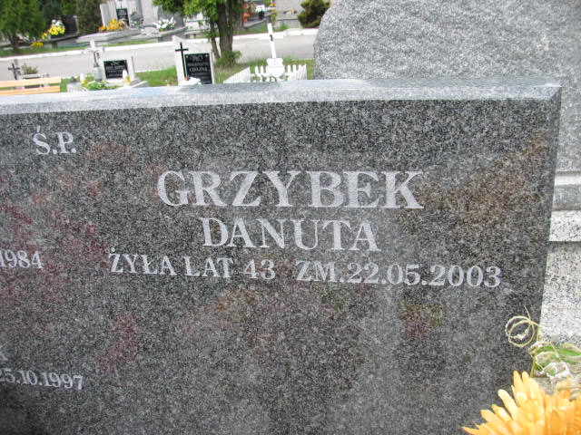 Czesław Grzybek Skarżysko Kamienna - Grobonet - Wyszukiwarka osób pochowanych