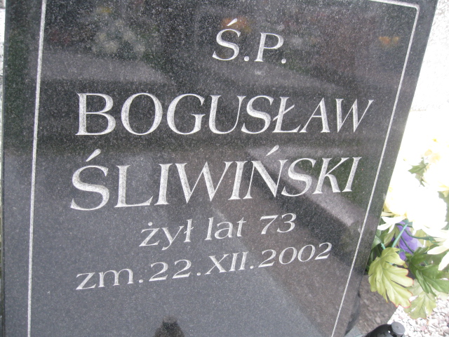 Alina Śliwińska 1932 Skarżysko Kamienna - Grobonet - Wyszukiwarka osób pochowanych