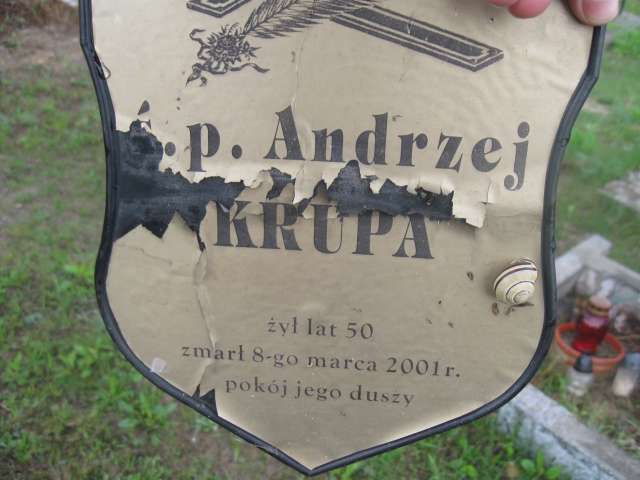 Lidia Krupa 1955 Skarżysko Kamienna - Grobonet - Wyszukiwarka osób pochowanych