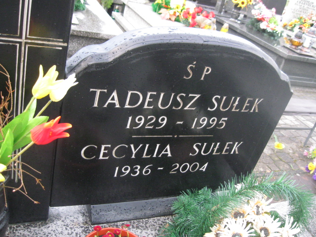 Tadeusz Sułek 1929 Skarżysko Kamienna - Grobonet - Wyszukiwarka osób pochowanych