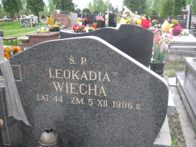 Andrzej Wiecha 1951 Skarżysko Kamienna - Grobonet - Wyszukiwarka osób pochowanych