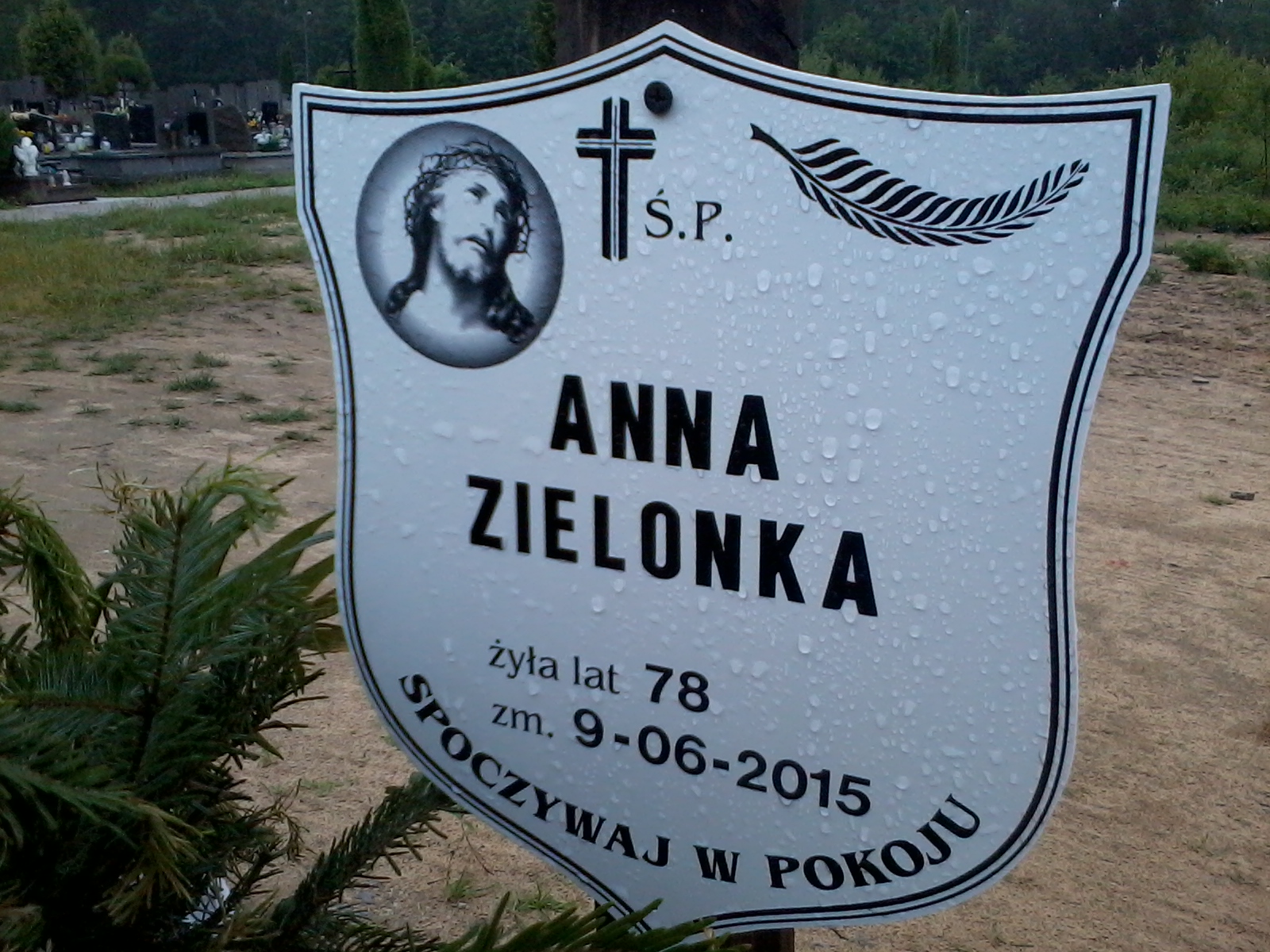 Anna Zielonka 1937 Skarżysko Kamienna - Grobonet - Wyszukiwarka osób pochowanych