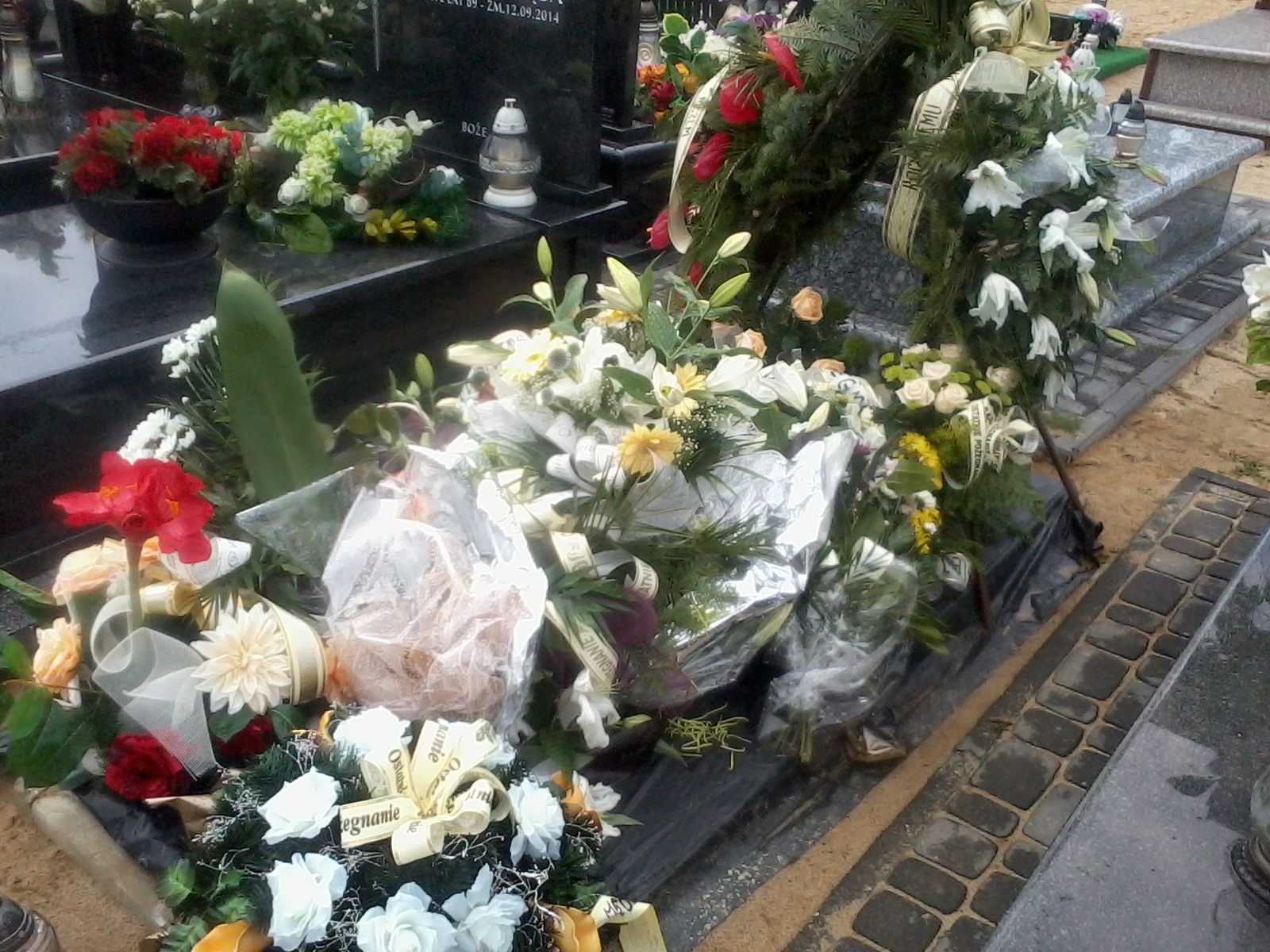   Skarżysko Kamienna - Grobonet - Wyszukiwarka osób pochowanych